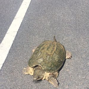 Meet your Posher, Brian